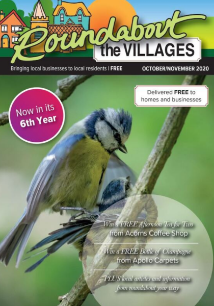 The Villages Magazine October to November 2020